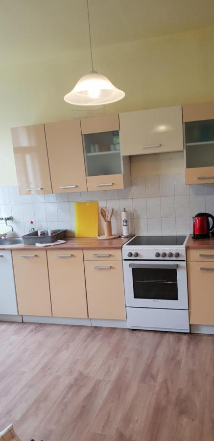 Apartments Wagner Crimmitschau Ngoại thất bức ảnh